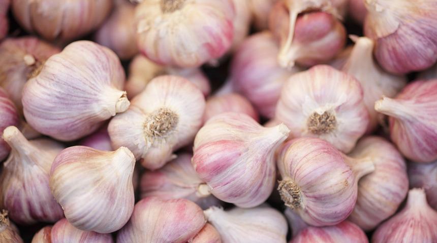 Bu yöntemlerle ağız ve diş problemleri ortadan kalkıyor! Sarımsakla masaj yaparak...