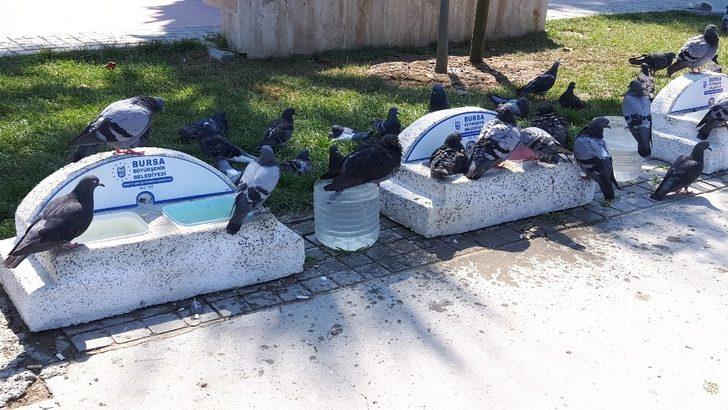 Mudanya’da sahillere estetik dokunuş G3