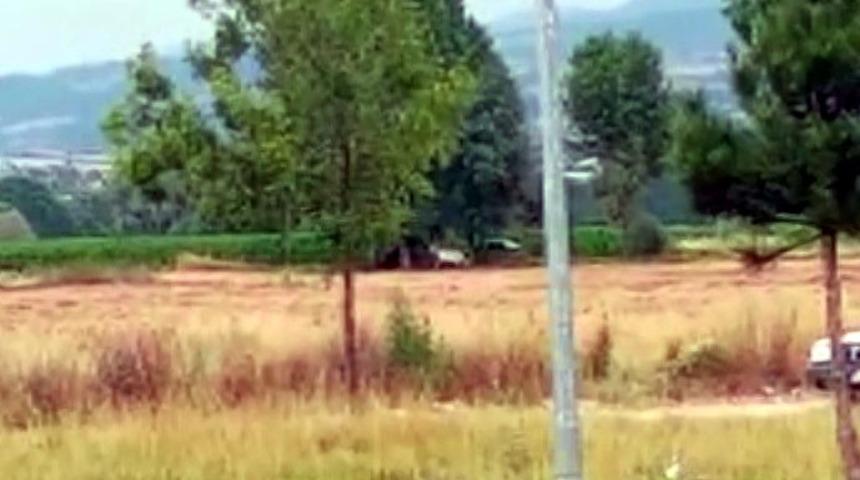 Bolu'da ata cinsel saldırıda bulunurken yakalandı