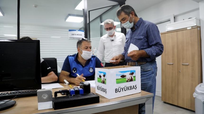 Talas’ta kurban satış yerleri kura ile belirlendi