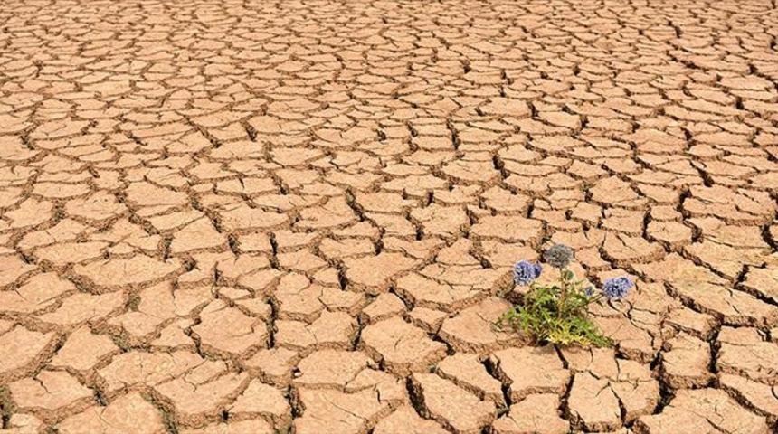 K&uuml;resel ısınma kaynaklı 'ısı stresi' bazı organların durmasına yol a&ccedil;abilir