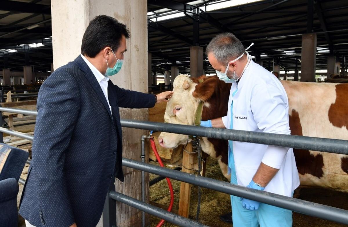 G&uuml;nl&uuml;k 4 bin hayvan kapasiteli tesiste ilk pazarlığı Başkan D&uuml;ndar yaptı