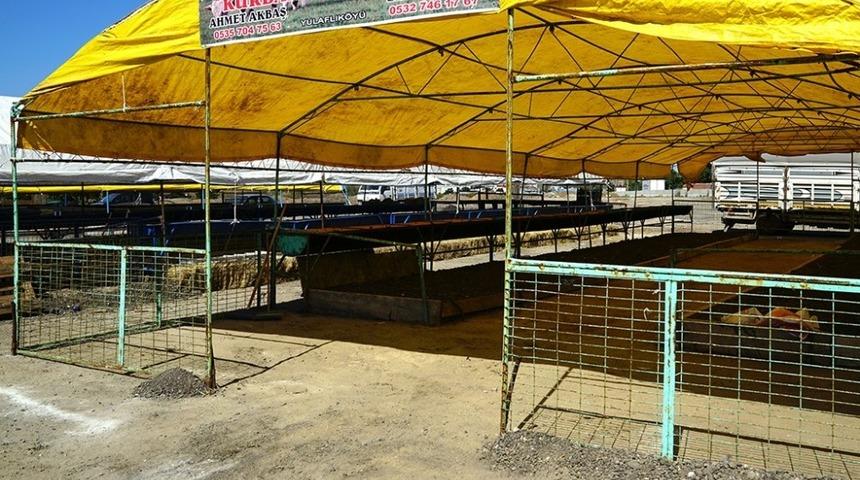 &Ccedil;orlu Kurban Satış Merkezi a&ccedil;ılıyor