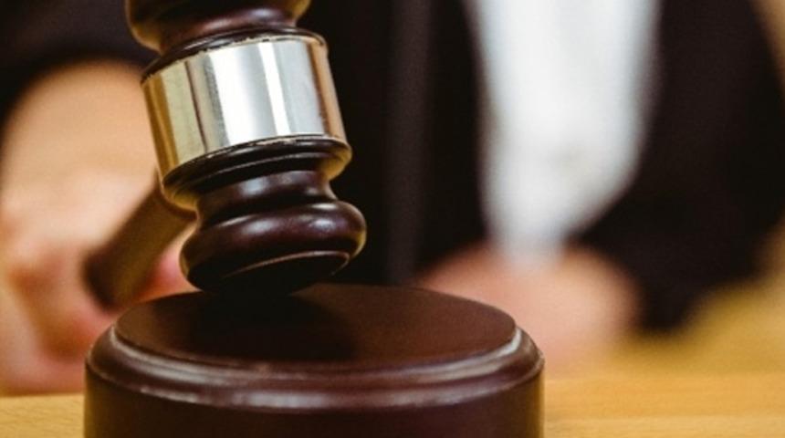 Mahkeme 'domuzlar kusurludur' demişti! Danıştay'dan emsal karar