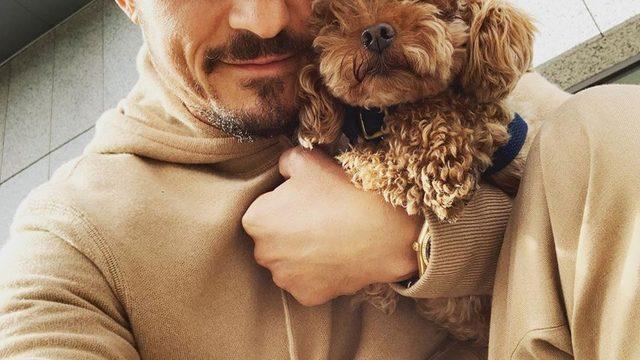 Orlando Bloom: Onu bulmama yardım edin