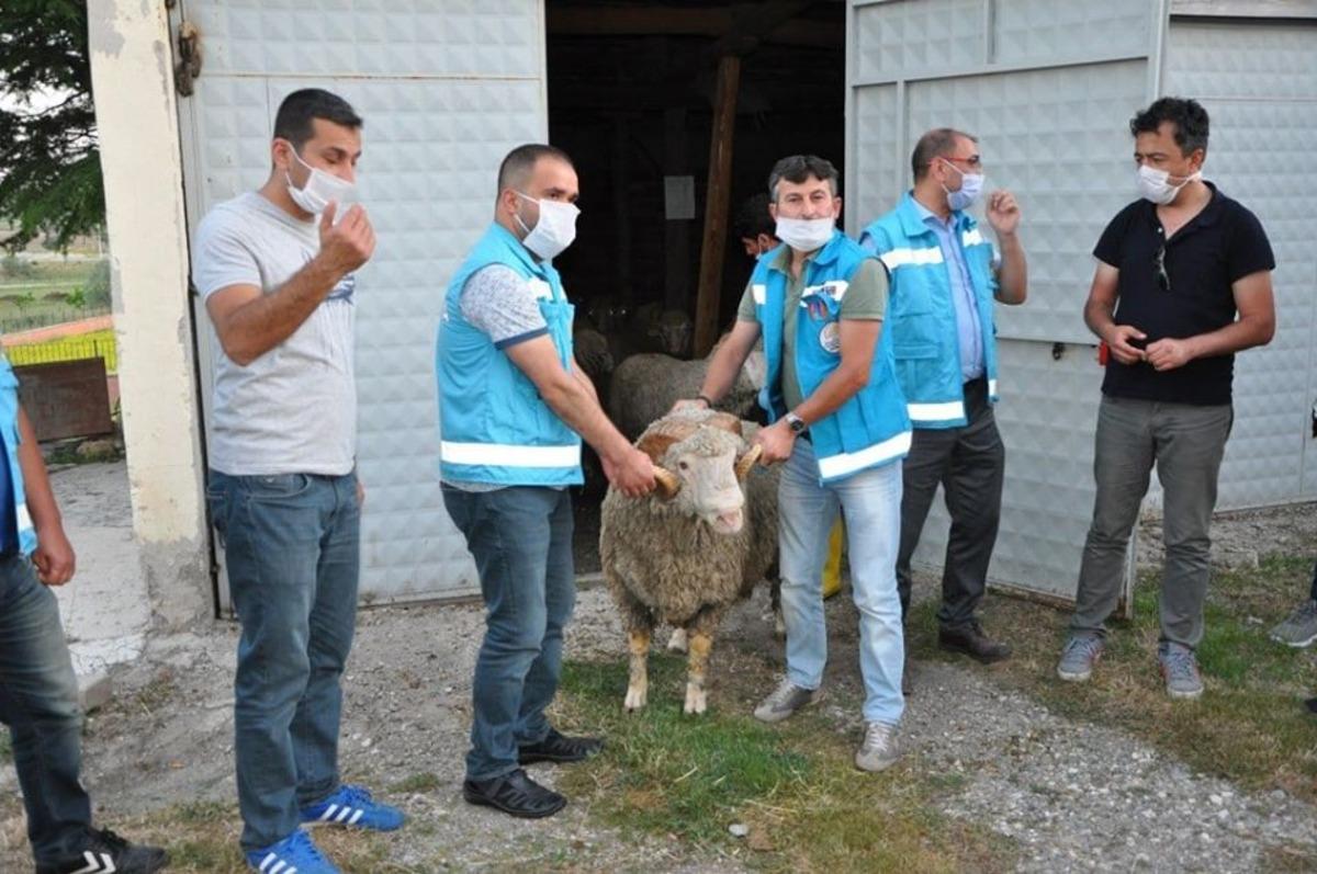 Dumlupınar&rsquo;da 48 vatandaşa 71 ko&ccedil; dağıtıldı