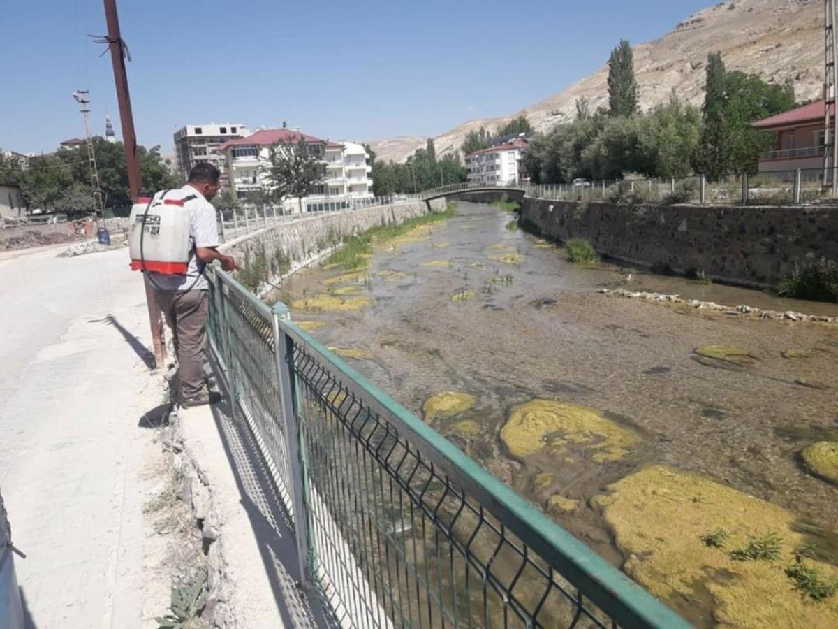 Tohma &Ccedil;ayı&rsquo;nda ila&ccedil;lama yapıldı