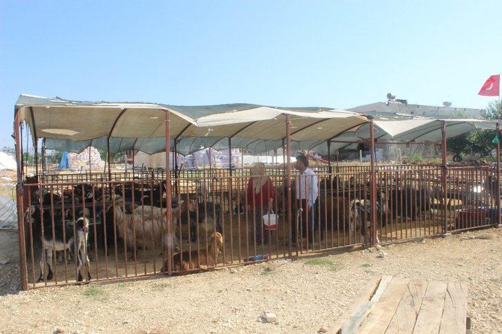 Hayvanlar güneşten tente ile korunuyor G2