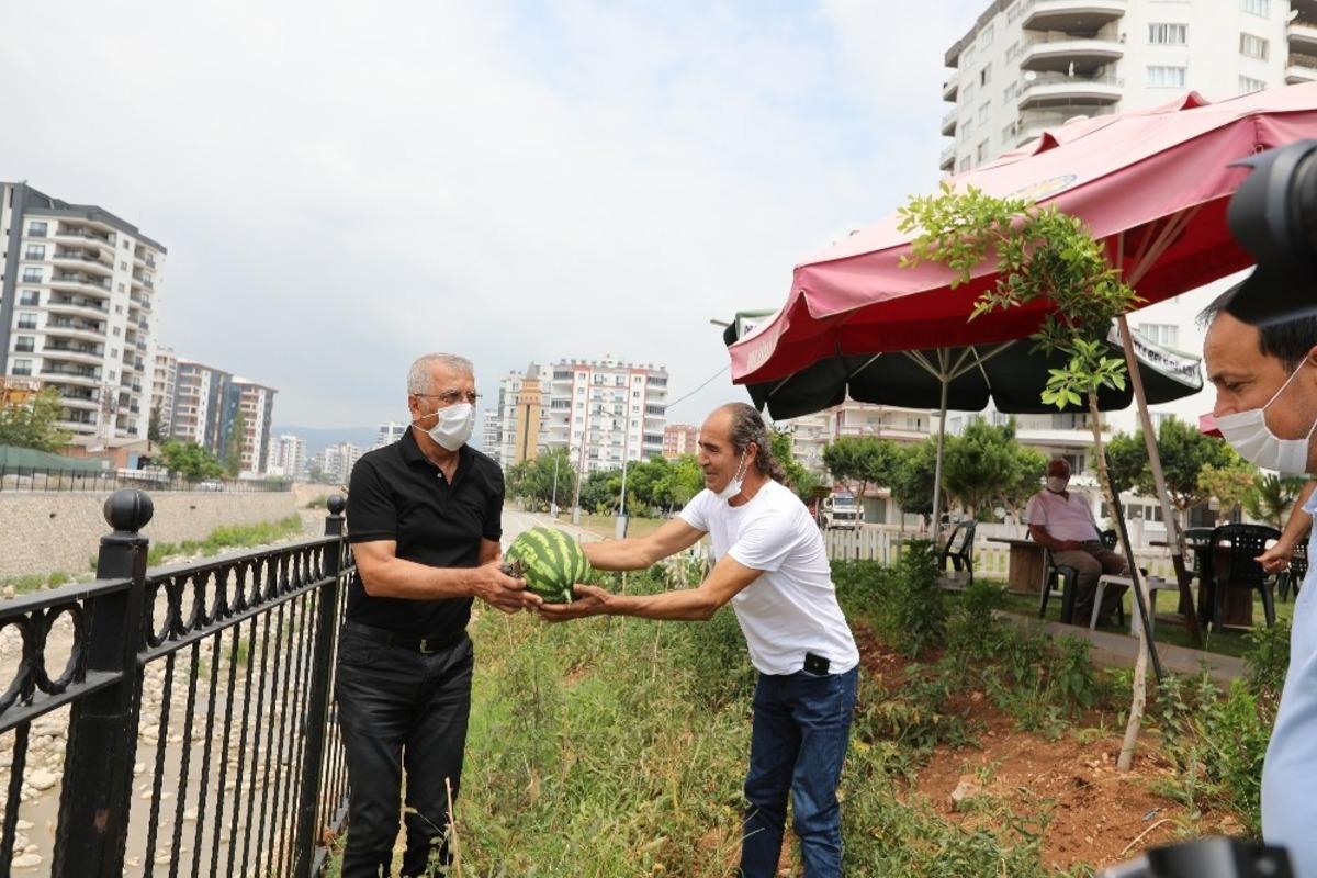 Kafe K&uuml;t&uuml;phanede karpuz hasadı