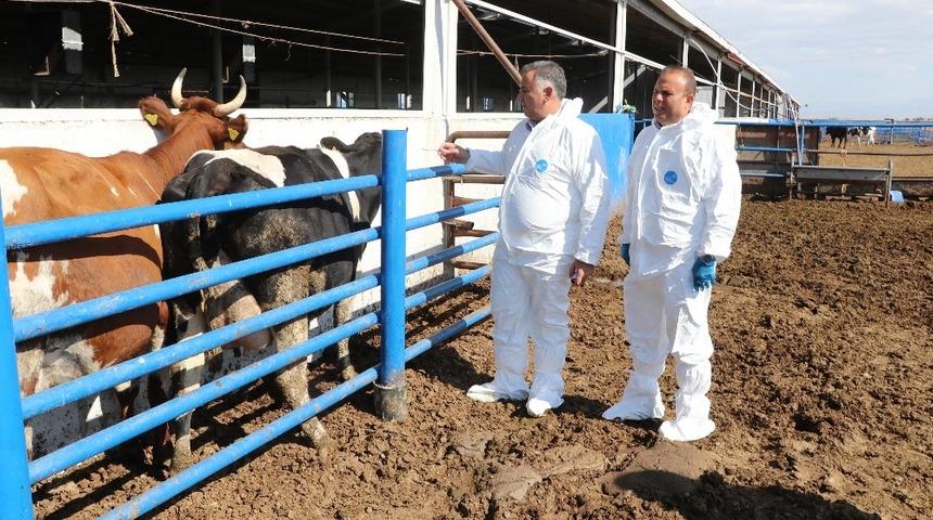Aksaray ilave &ccedil;iğ s&uuml;t desteklemesinde pilot il olarak se&ccedil;ildi