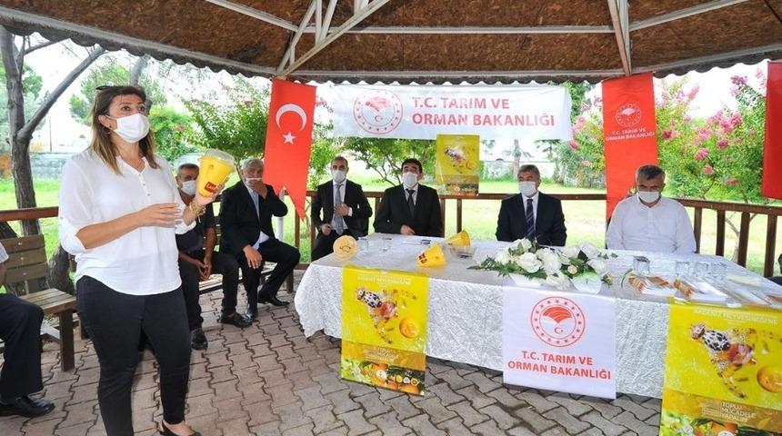 &Uuml;reticilere Akdeniz meyve sineği tuzağı dağıtıldı