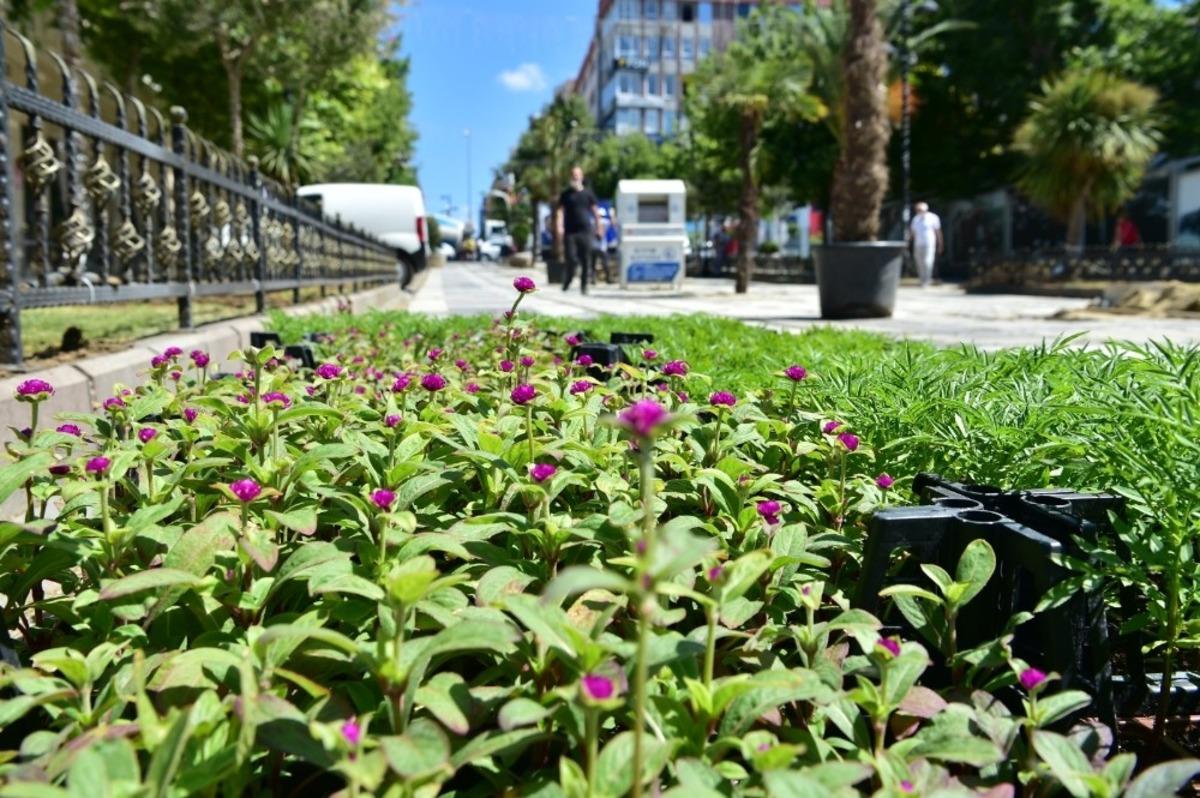 Avcılar rengarenk &ccedil;i&ccedil;eklerle donatılıyor