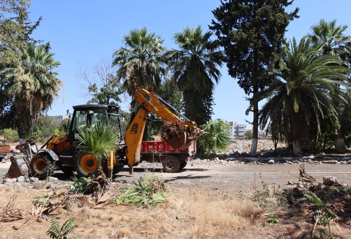 Kentsel d&ouml;n&uuml;ş&uuml;m projesi i&ccedil;in ağa&ccedil;lar naklediliyor