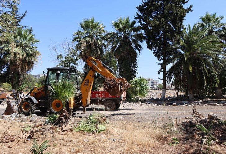 Kentsel dönüşüm projesi için ağaçlar naklediliyor G1