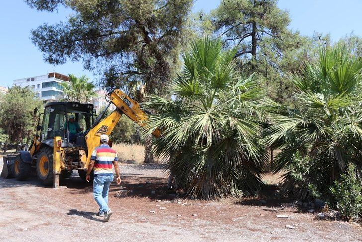 Kentsel dönüşüm projesi için ağaçlar naklediliyor G2