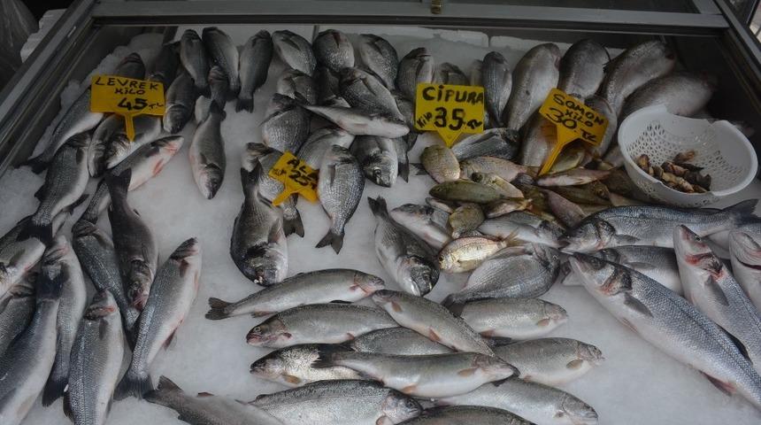 Tezgahlar &ccedil;iftlik balıklarına kaldı