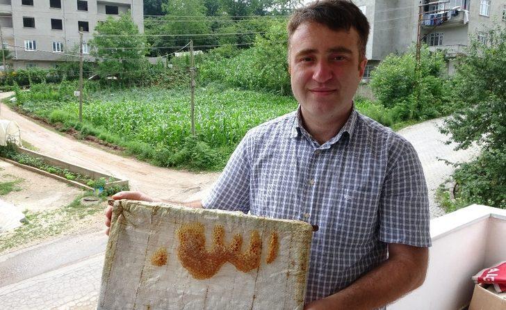 Arıların işlediği "Allah lafzı" şaşırttı G2