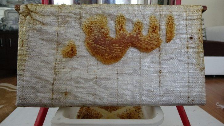 Arıların işlediği "Allah lafzı" şaşırttı G3