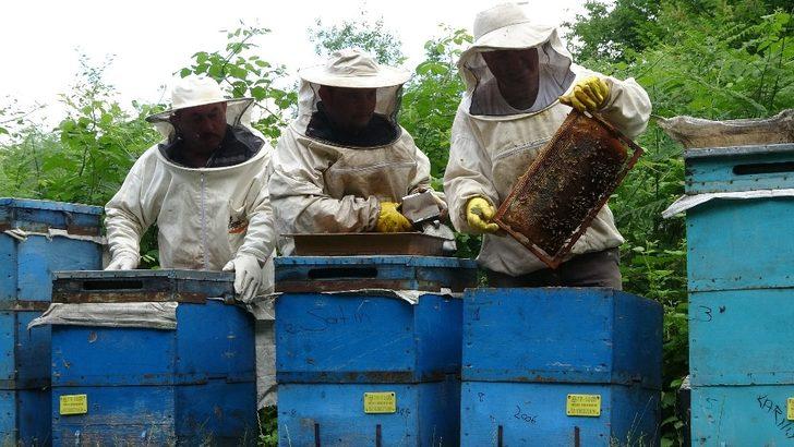 Arıların işlediği "Allah lafzı" şaşırttı G4