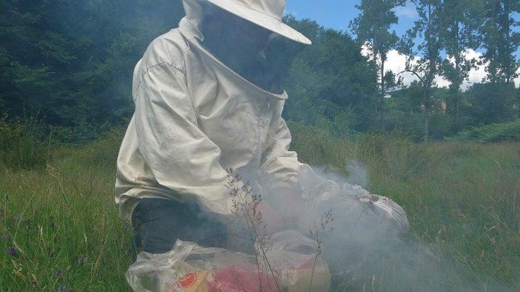 Arıların işlediği "Allah lafzı" şaşırttı G5