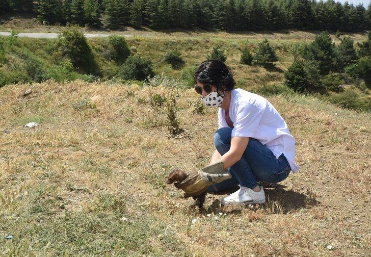 Tedavi edilen sansar doğaya bırakıldı G2