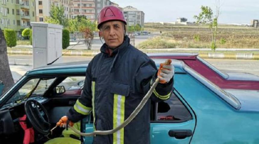 Camı açık otomobile yılan girdi