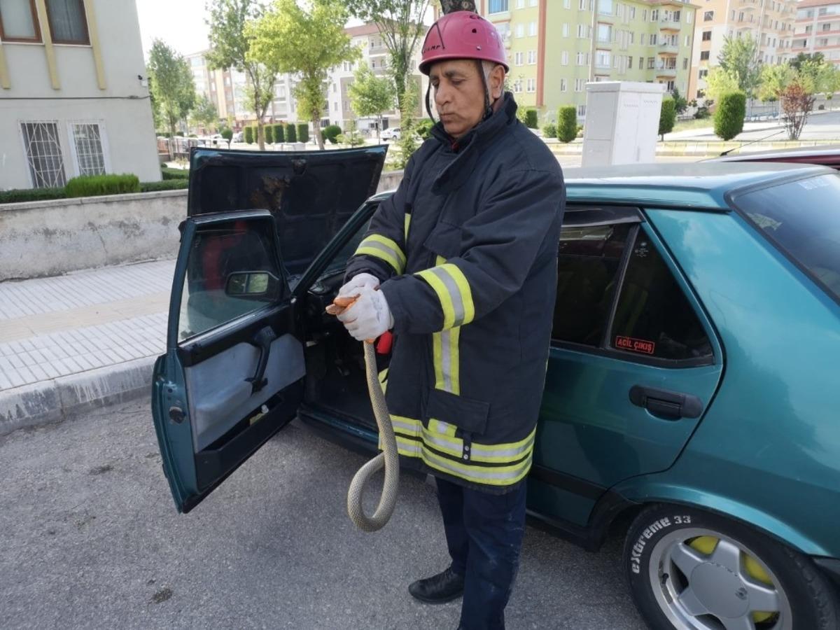 Otomobile giren yılan paniğe neden oldu