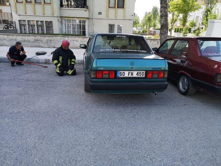 Otomobile giren yılan paniğe neden oldu G3