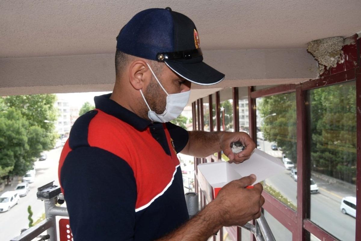 Yuvasından d&uuml;şen kırlangı&ccedil; yuvasına konuldu