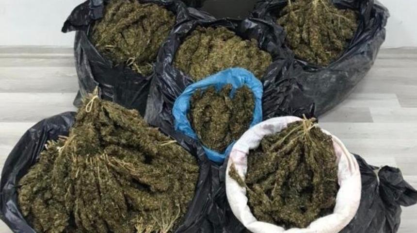 Şanlıurfa’da 46 kilo esrar ele geçirildi