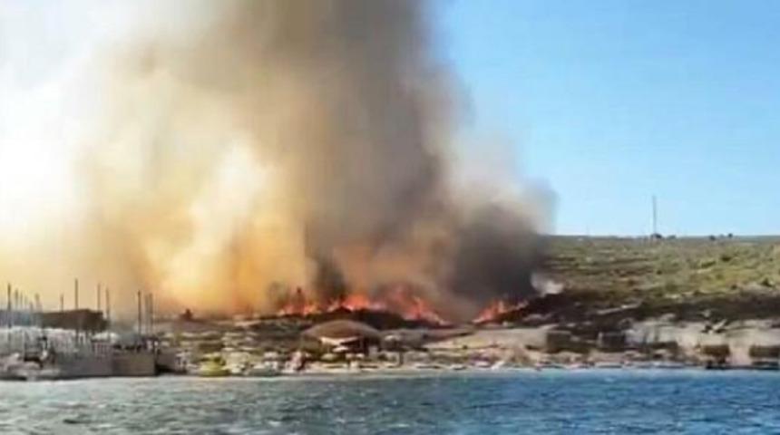 İzmir'de Ala&ccedil;atı'da orman yangını!