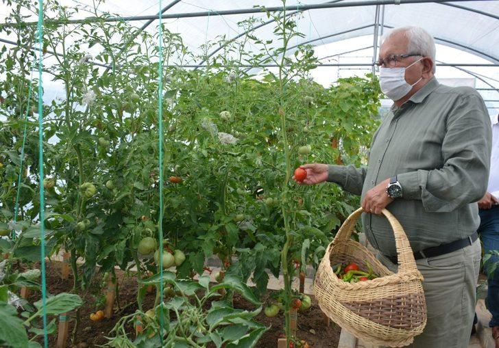 Başkan Posbıyık, Ata Tohumu Projesinde ilk hasadı yaptı G1