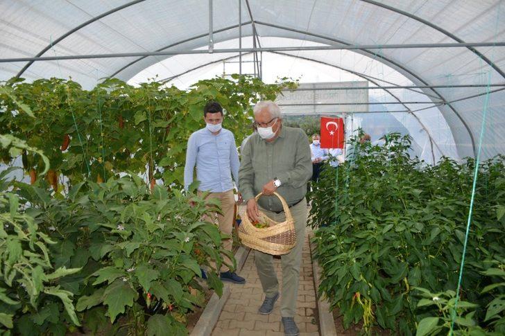 Başkan Posbıyık, Ata Tohumu Projesinde ilk hasadı yaptı G2