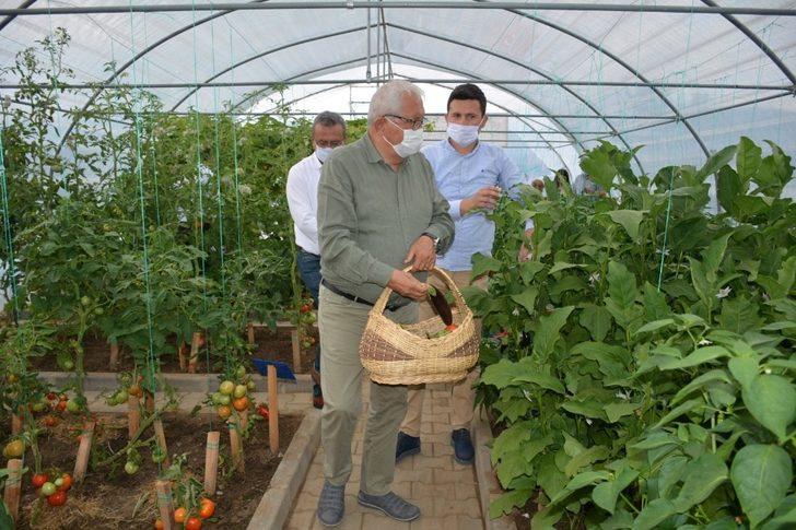 Başkan Posbıyık, Ata Tohumu Projesinde ilk hasadı yaptı G4