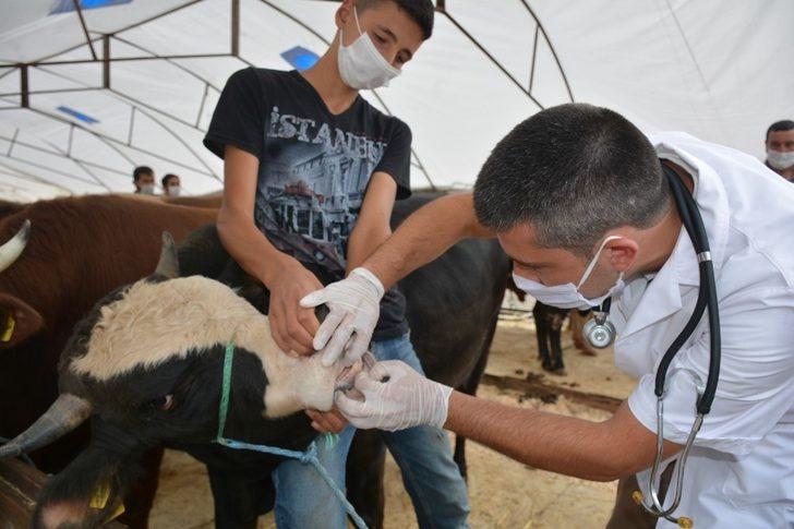 Kurban Pazarı pandemi koşullarına göre hazırlandı G1
