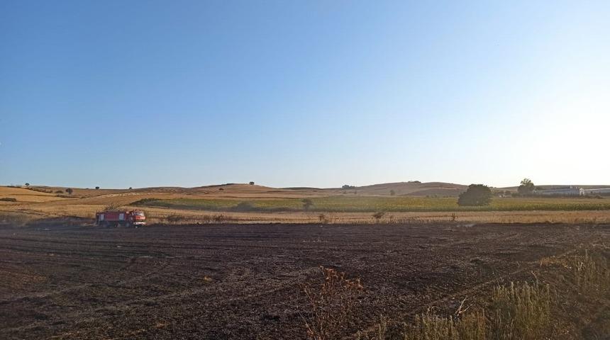 Anız yangını korkuttu