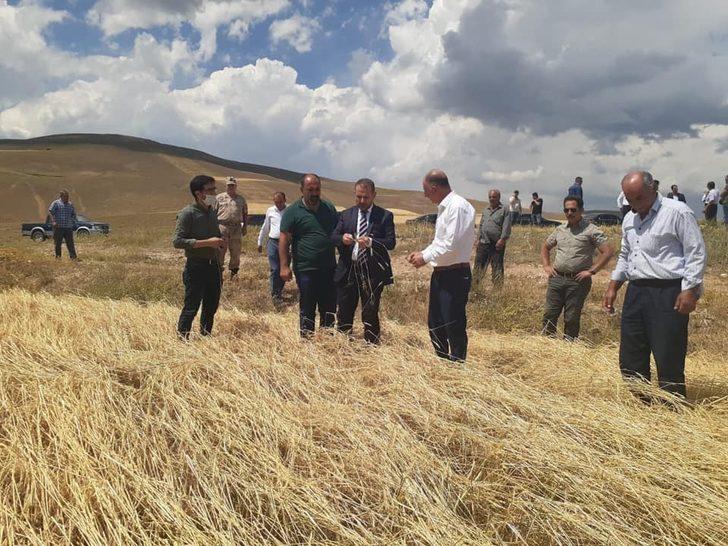 Milletvekili Çakır, Çayırlı’da ekinleri zarar gören çiftçileri ziyaret etti G3