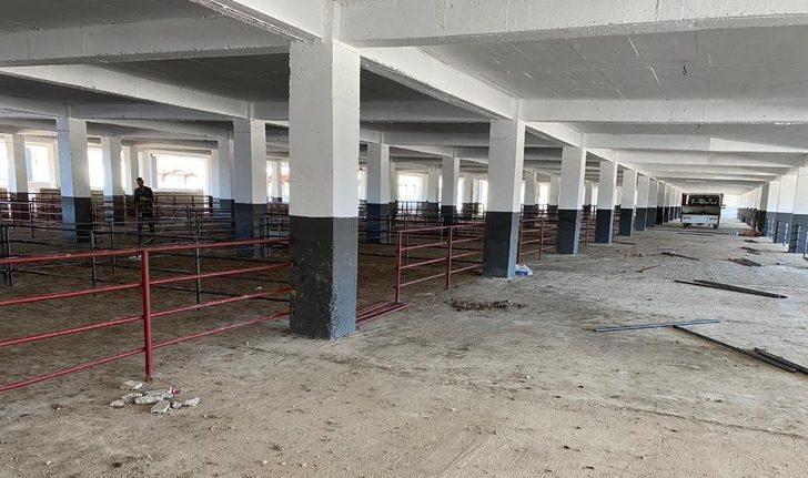 Erzincan’da Canlı Hayvan Pazarı bayrama hazırlanıyor G2