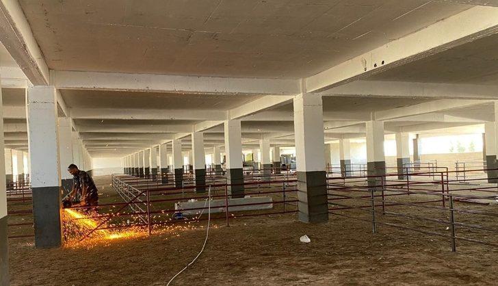 Erzincan’da Canlı Hayvan Pazarı bayrama hazırlanıyor G3