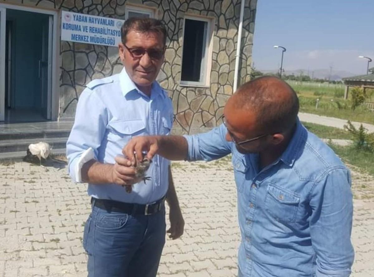 Muş&rsquo;ta yaralı kuşlar tedavi altına alındı