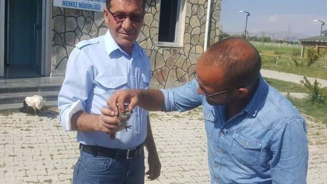 Muş’ta yaralı kuşlar tedavi altına alındı