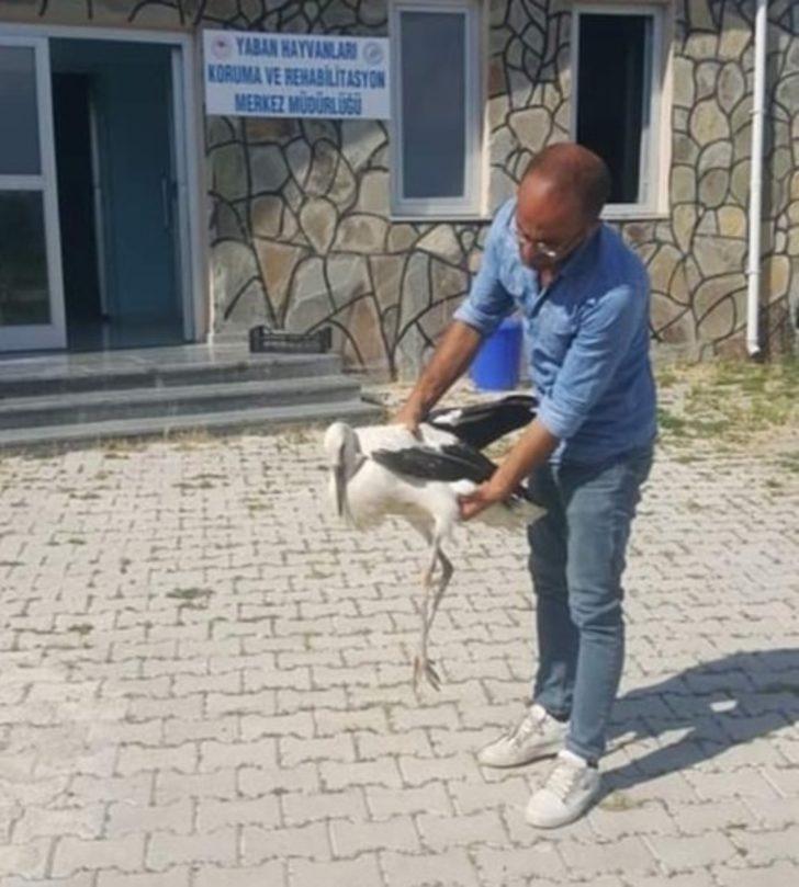 Muş’ta yaralı kuşlar tedavi altına alındı G2