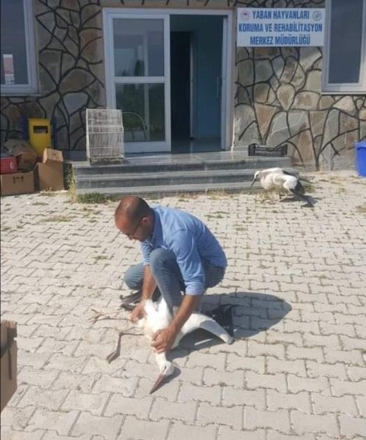Muş’ta yaralı kuşlar tedavi altına alındı G3
