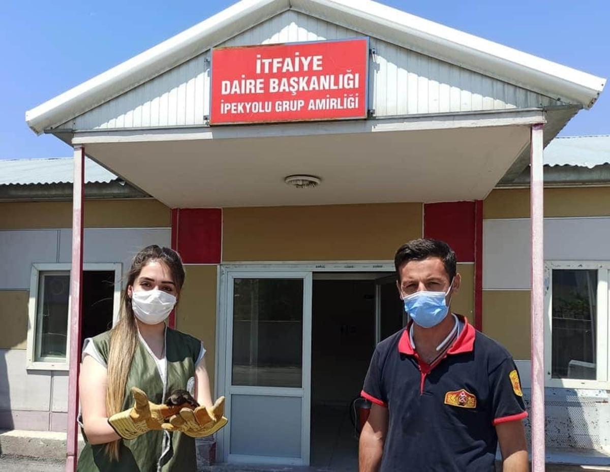 Van&rsquo;da yaralı kuşlar tedavi altına alındı