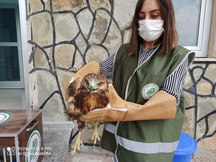 Van’da yaralı kuşlar tedavi altına alındı G3