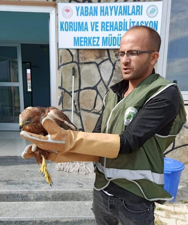 Van’da yaralı kuşlar tedavi altına alındı G4