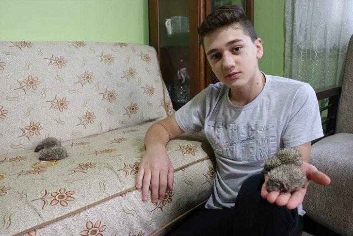 Ölen kirpinin dört yavrusunu evinde besliyor G4