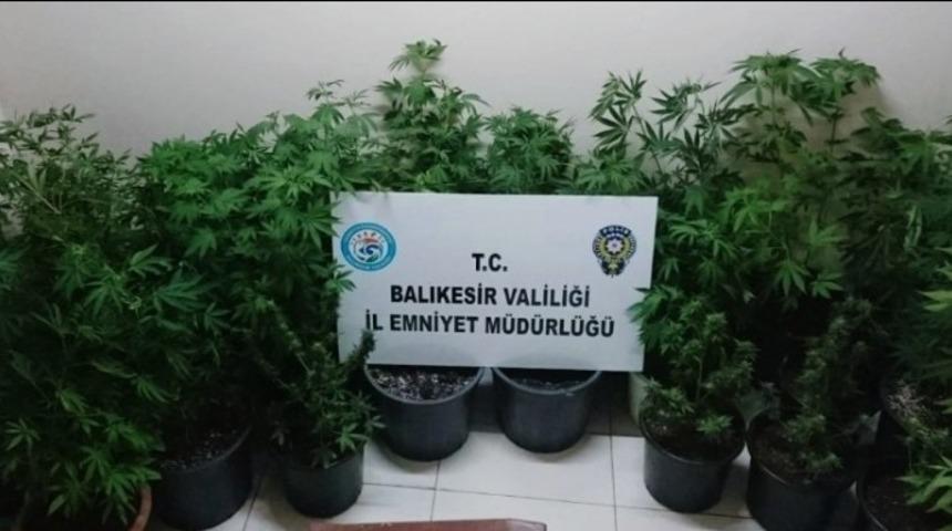 Balıkesir&rsquo;de 5 uyuşturucu taciri yakalandı
