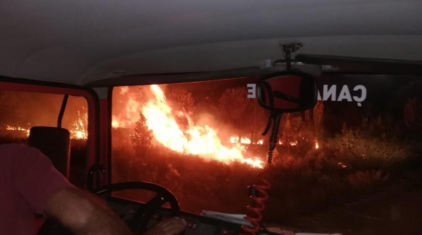 Biga&rsquo;da orman yangını