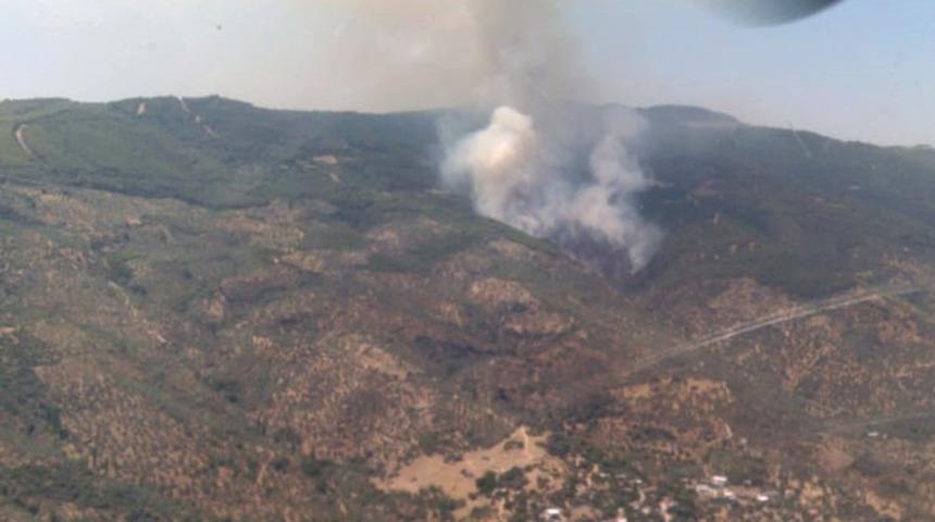 Aydın&rsquo;da orman yangını